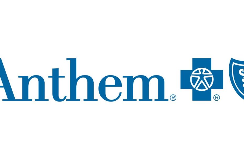Anthem Blue View Vision review